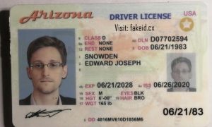 Arizona Driver License