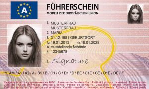 Austrian Driving license