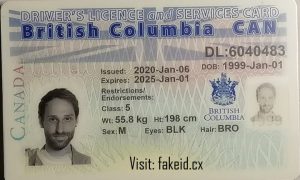 British Columbia Driver License