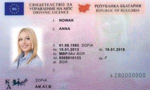 Bulgarian driving license