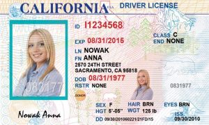 Californian driving license