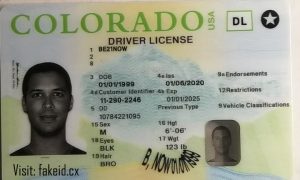 Colorado Driver License