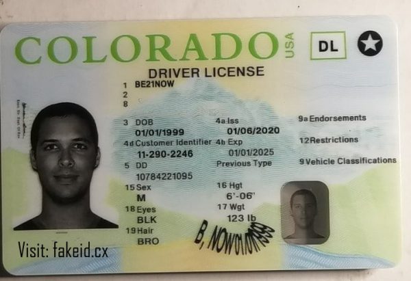 Colorado Driver License