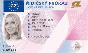 Czech Driving License