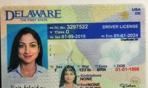 Delaware Driving License