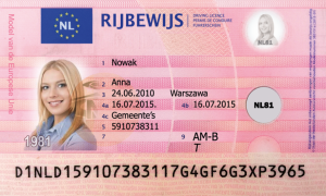 Dutch Driving License