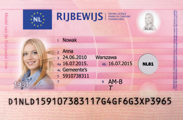 Dutch Driving License