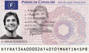 French driving license