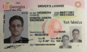 Georgia Driver License