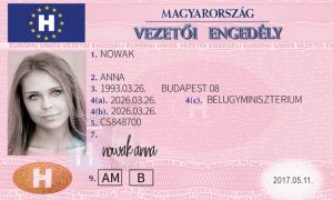 Hungarian Driving License