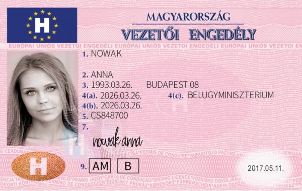 Hungarian Driving License