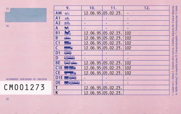 Hungarian Driving License.