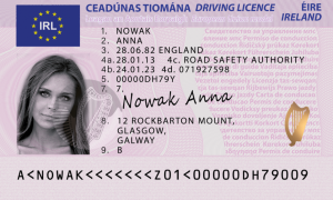 Irish Driving license