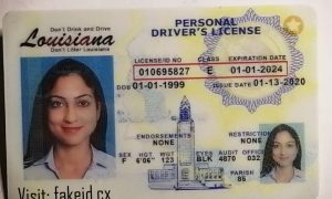 Louisiana Driver License