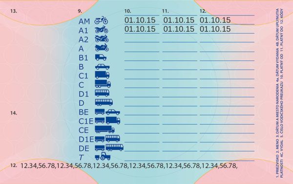 Slovak driving license.