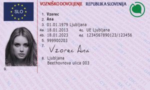 Slovenian Driving License