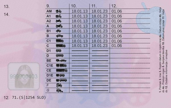 Slovenian Driving License.