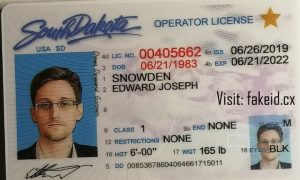 South Dakota Driver License