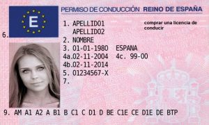 Spanish driving license