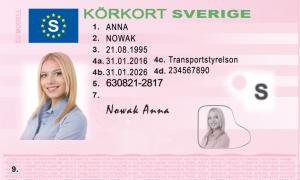 Swedish driving license