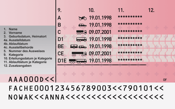 Swiss Driving license.