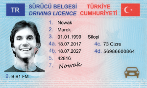 Turkish Driving license