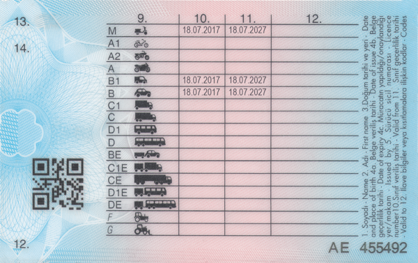 Turkish Driving license.