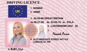 UK Driving license Old Card