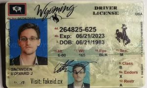 Wyoming Driver License